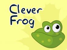 Clever frog