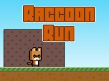 Raccon Run